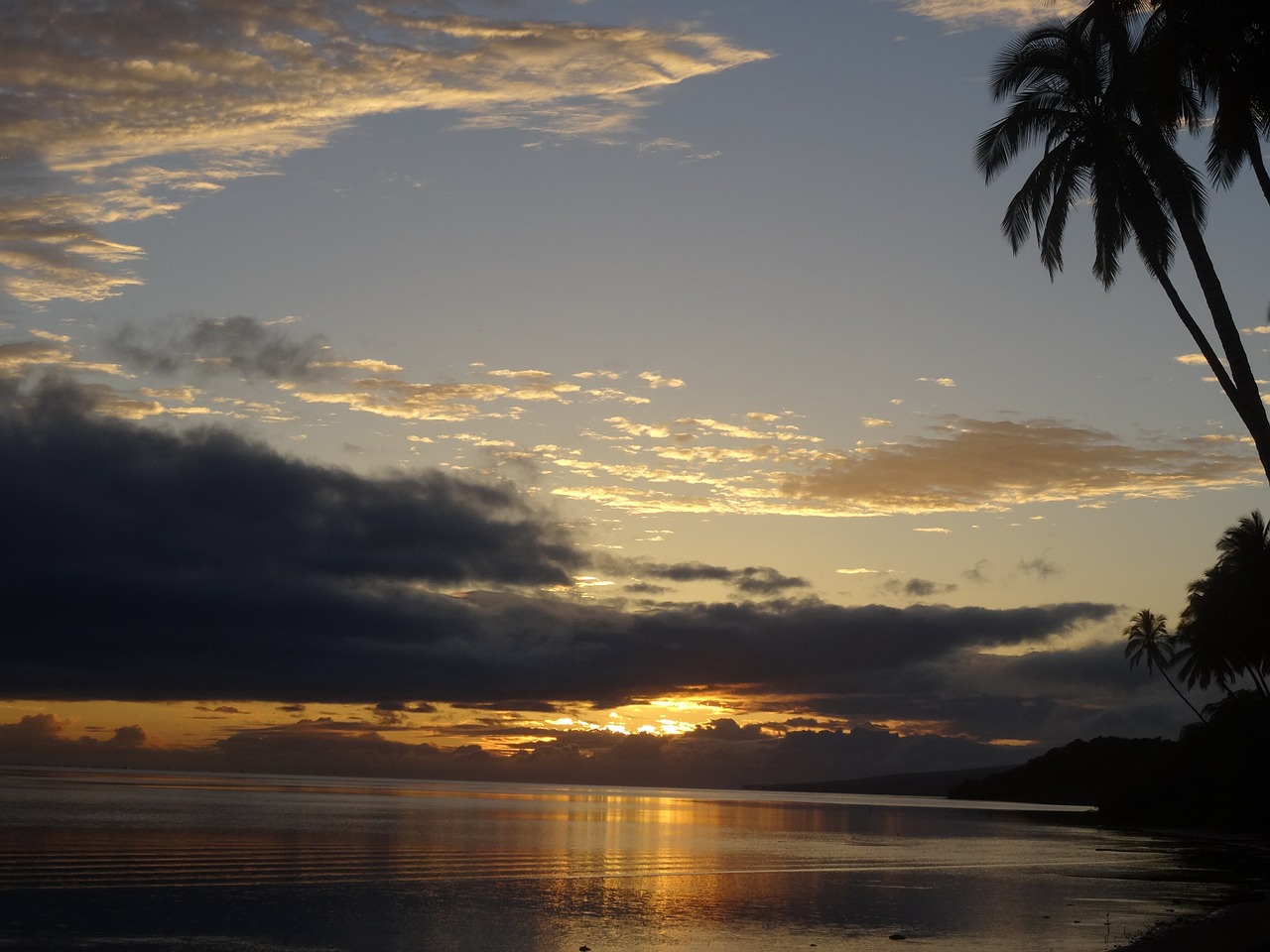 abendstimmung sunset palm free photo