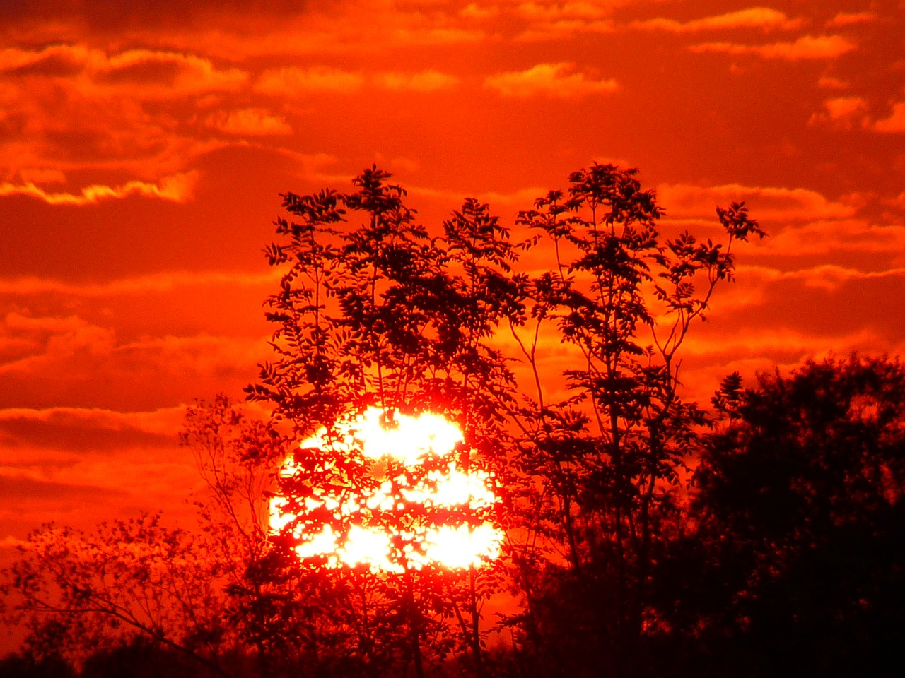 abendstimmung sunset sky free photo