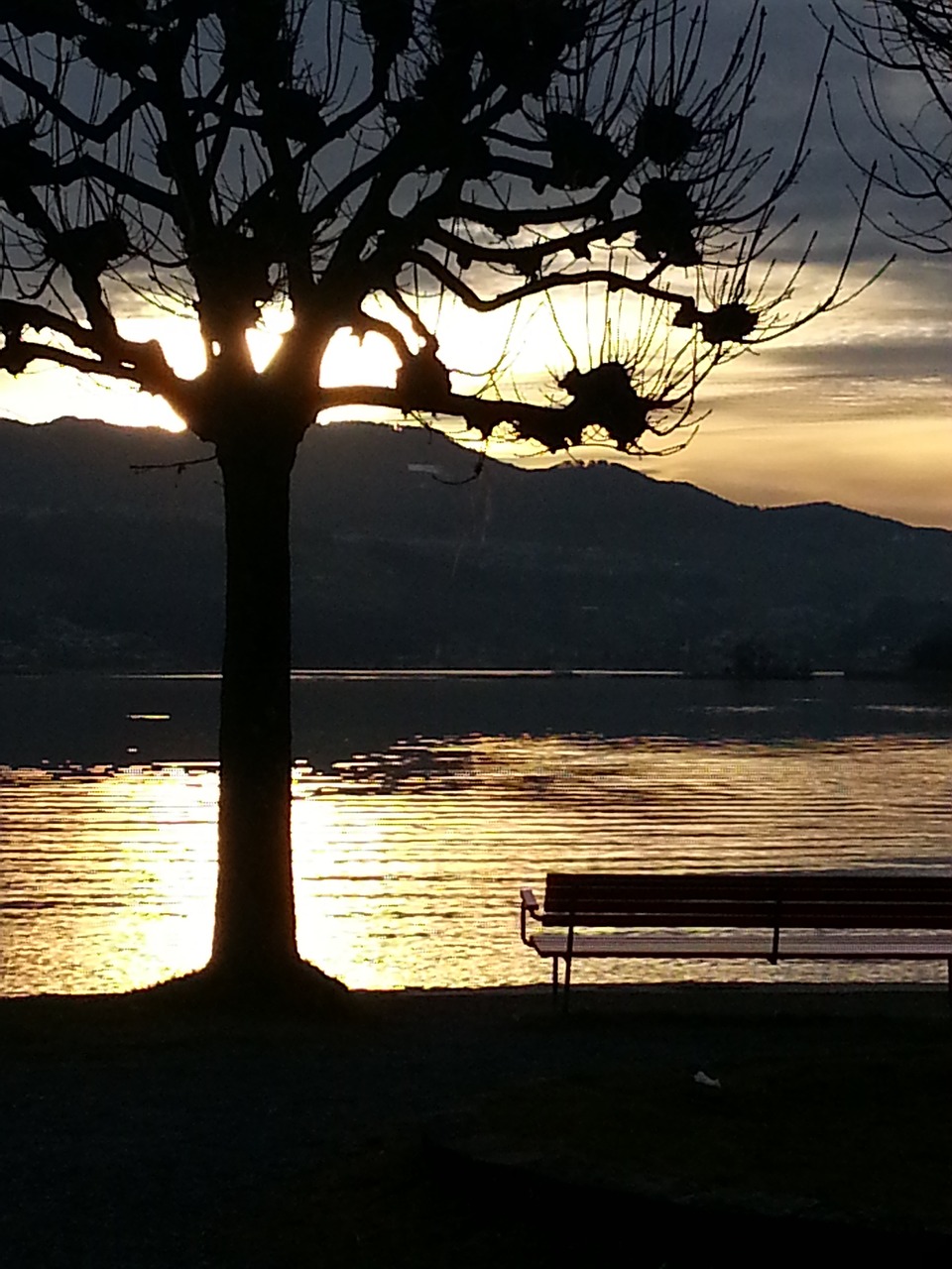 abendstimmung evening tree free photo