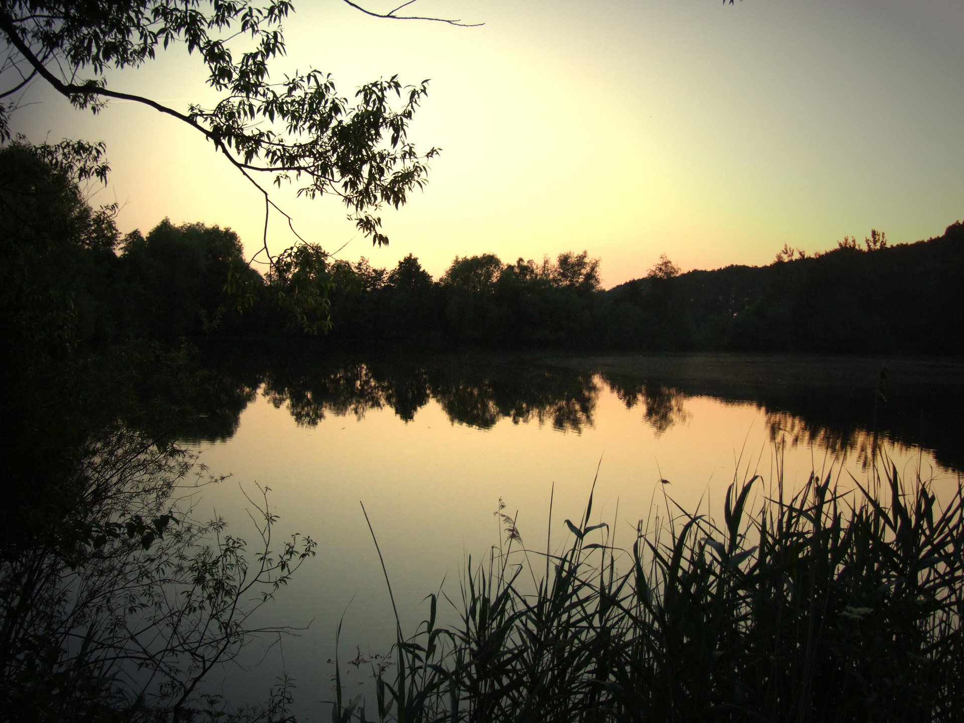 romance evening sunset free photo