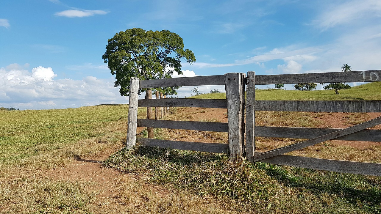 about  nature  farm free photo