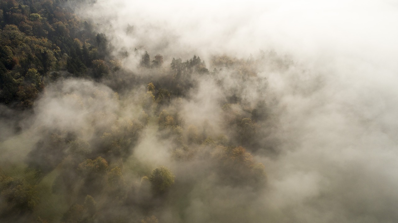 above the clouds fog clouds free photo