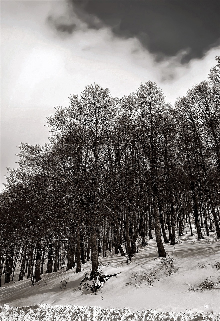 abruzzo lazio national park free photo