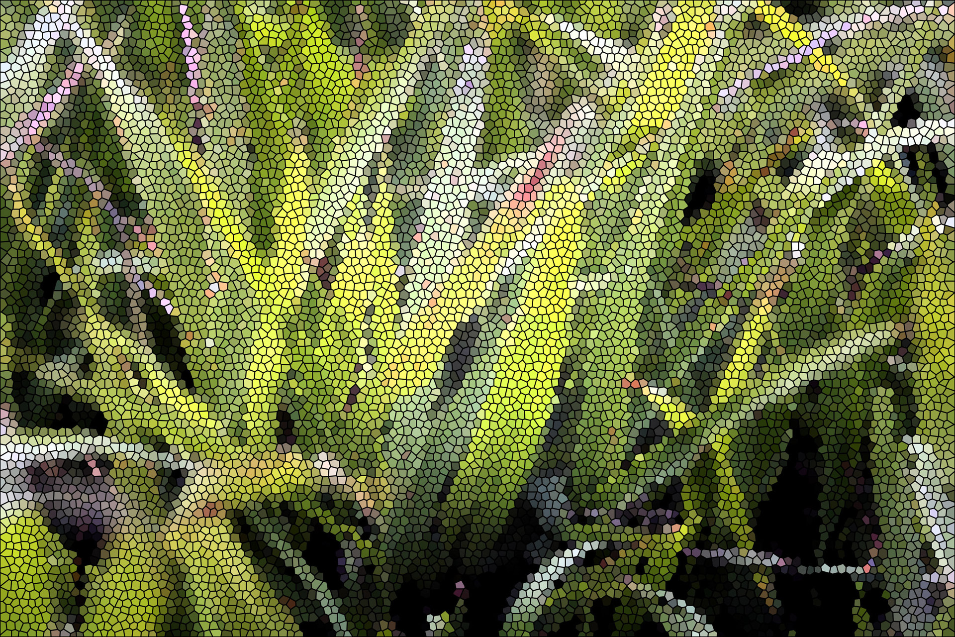 abstract grass green free photo