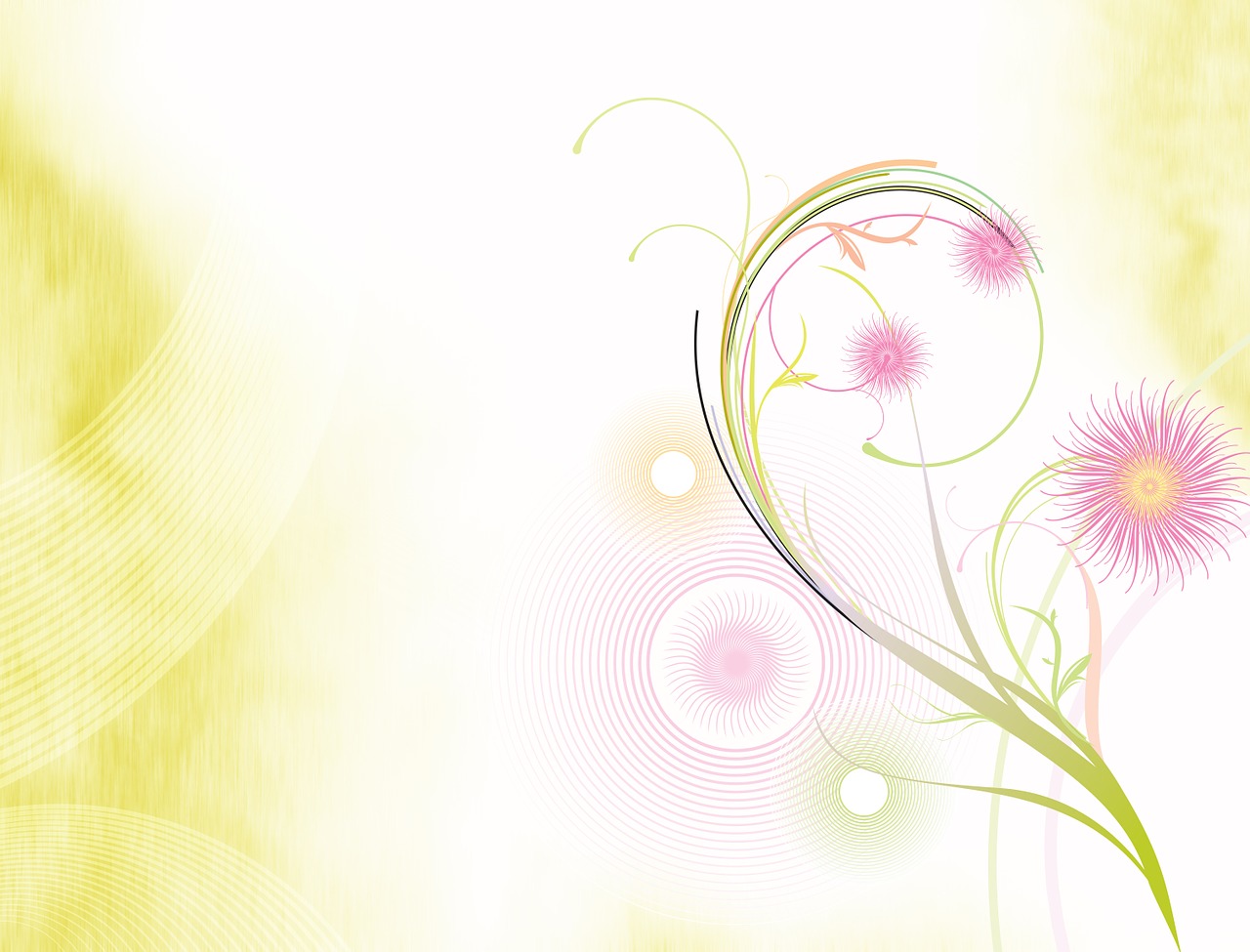 abstract background flowers free photo