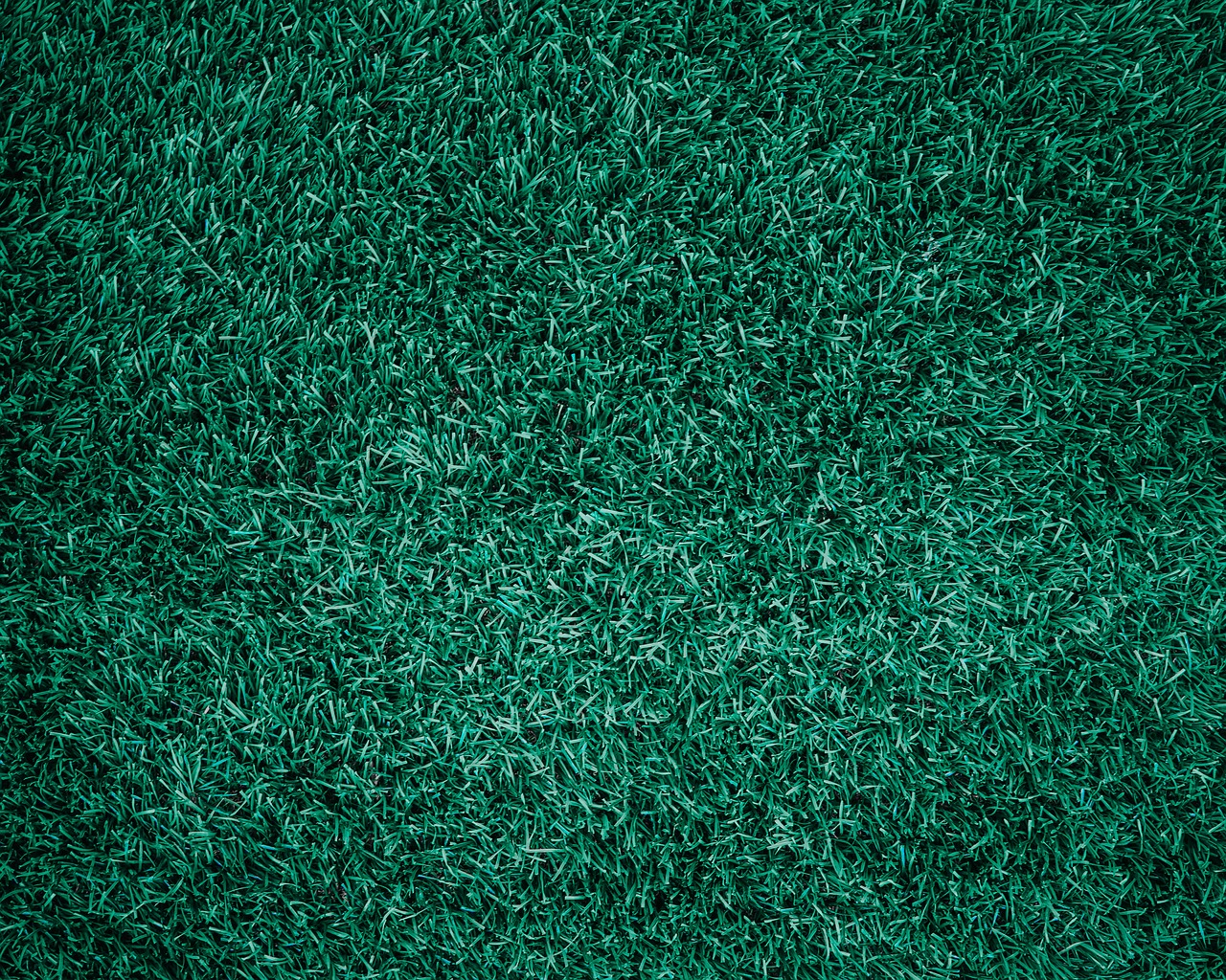 grass abstract backdrop free photo