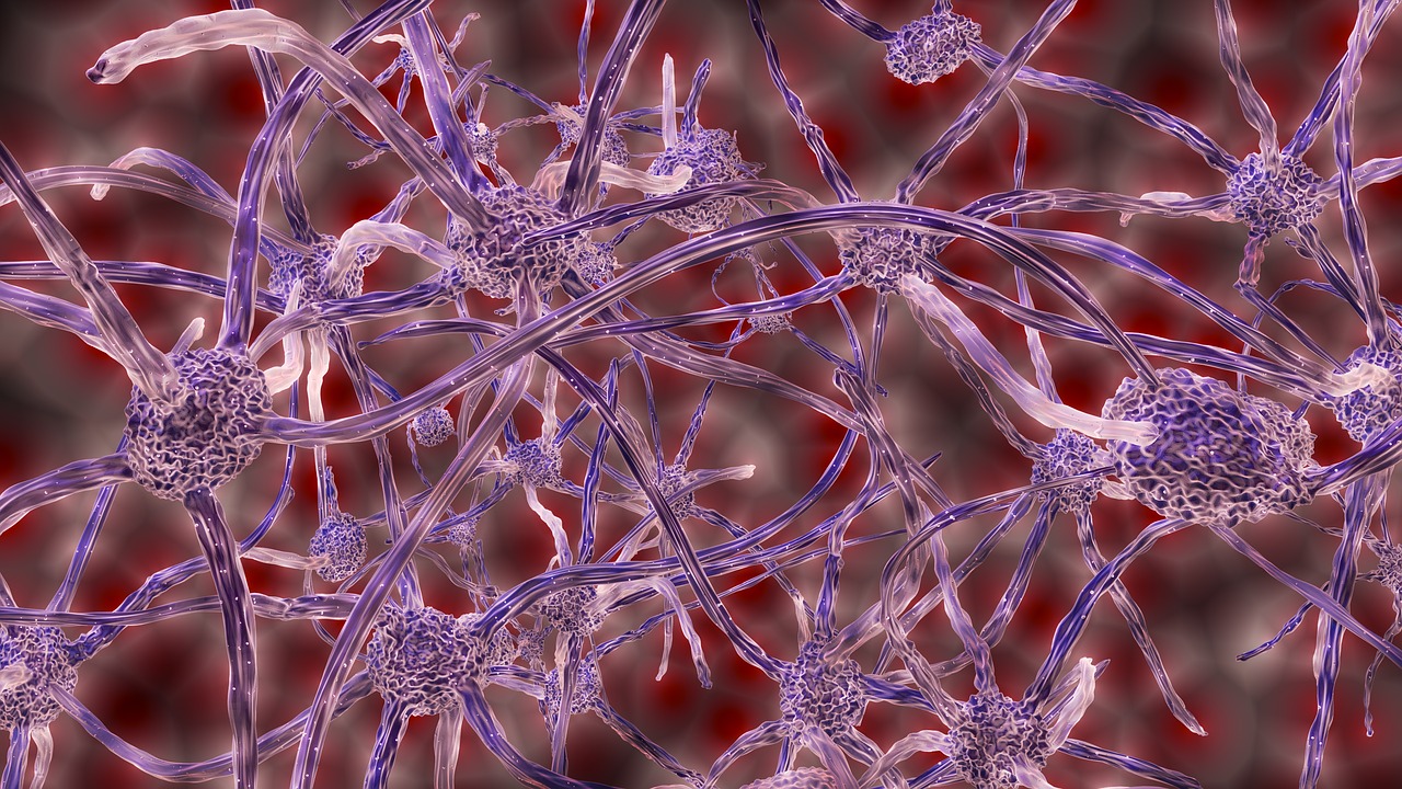 abstract nerve cells connection free photo