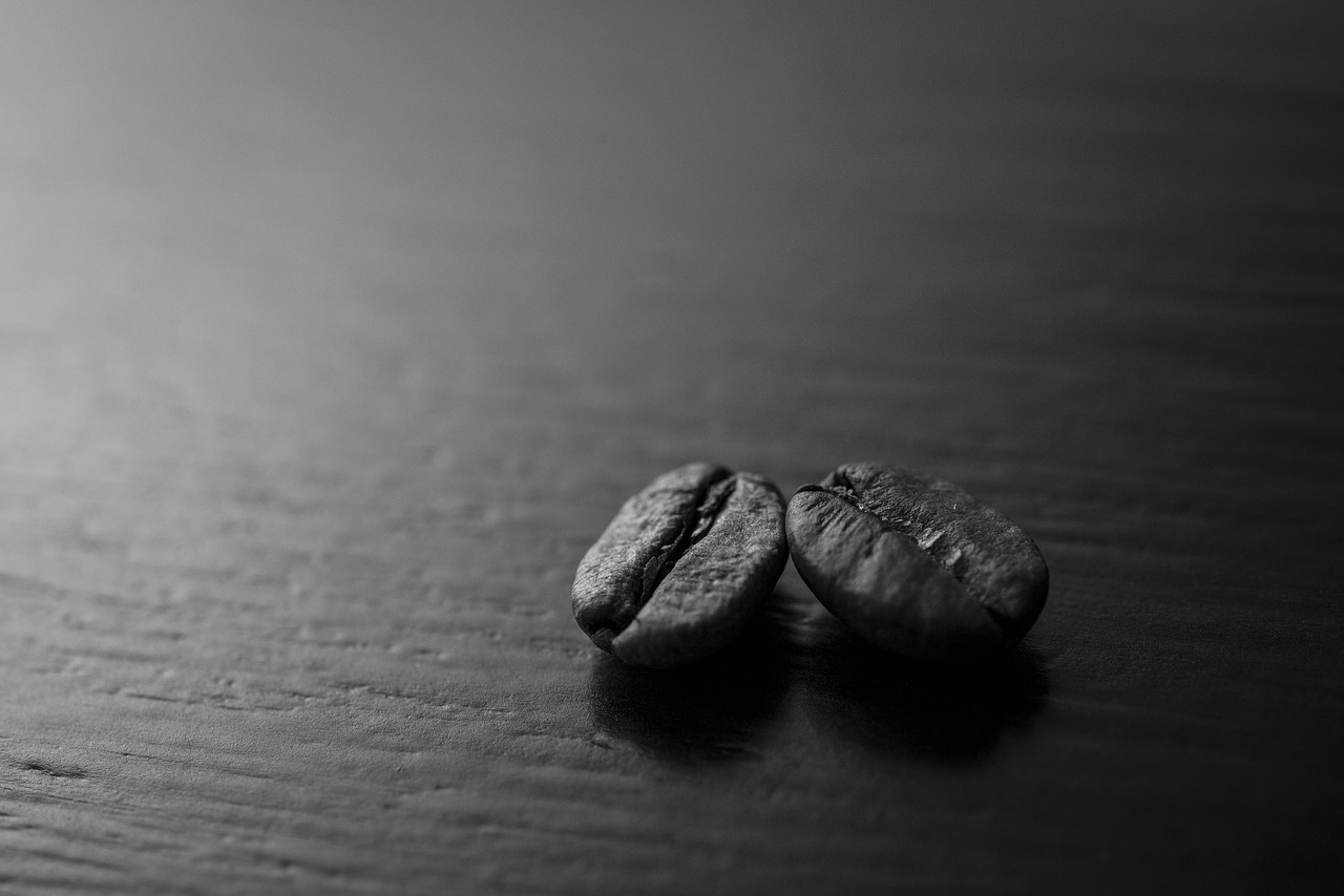 abstract beans black coffee free photo