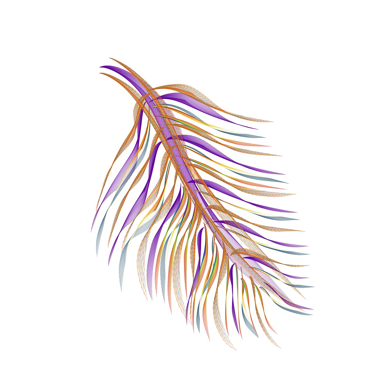 abstract feather logo free photo