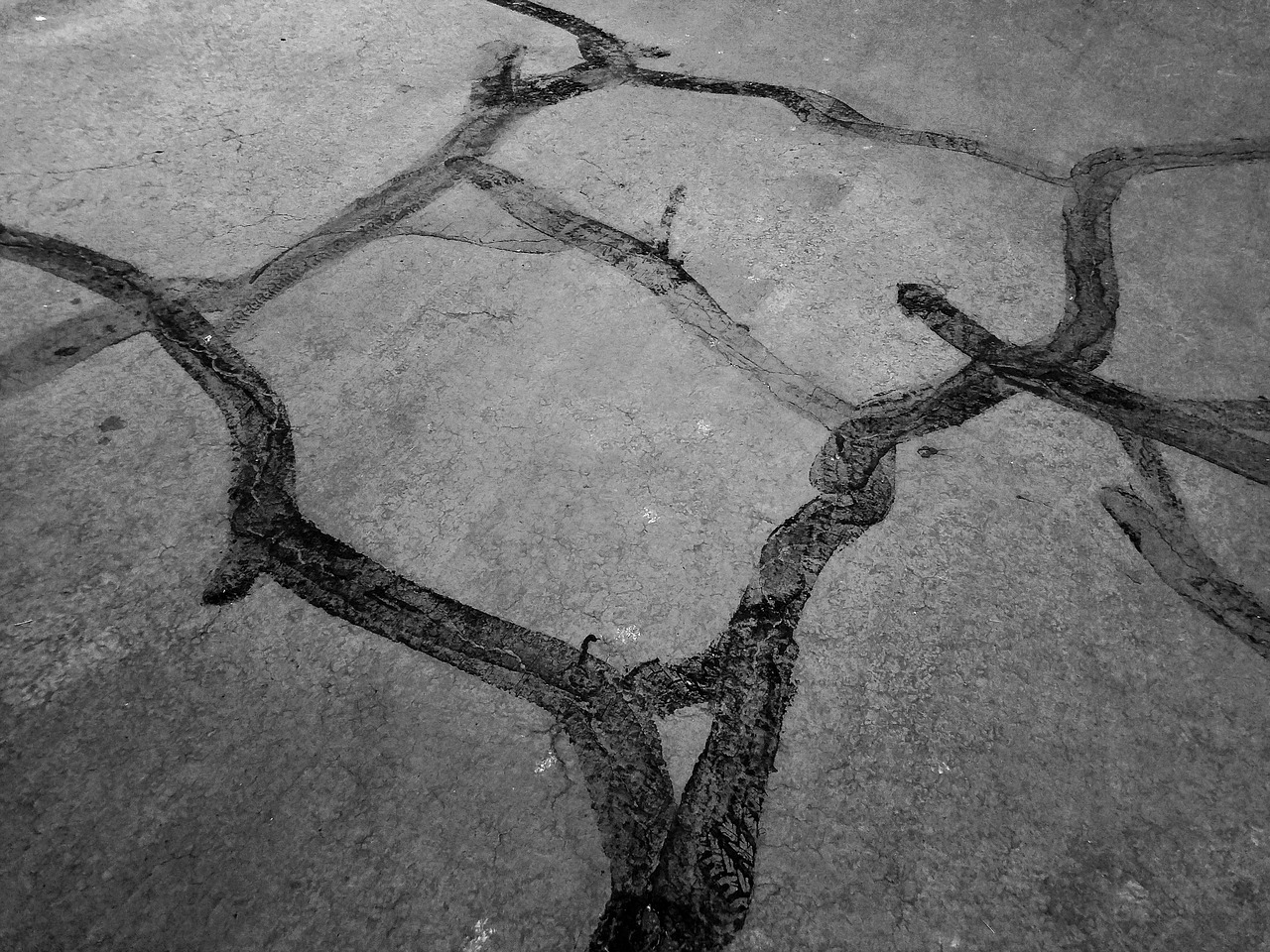 abstract pavement lines free photo