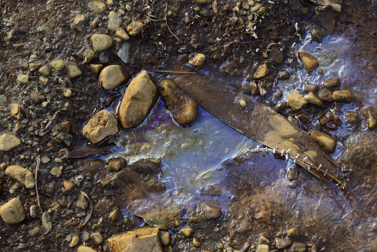 abstract old wood stones free photo