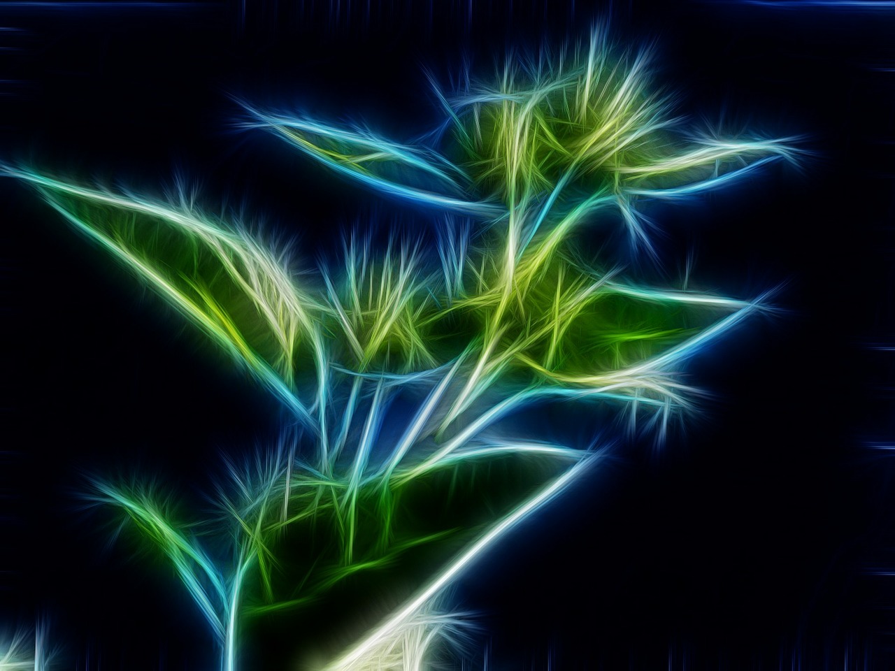 abstract fractal flower free photo