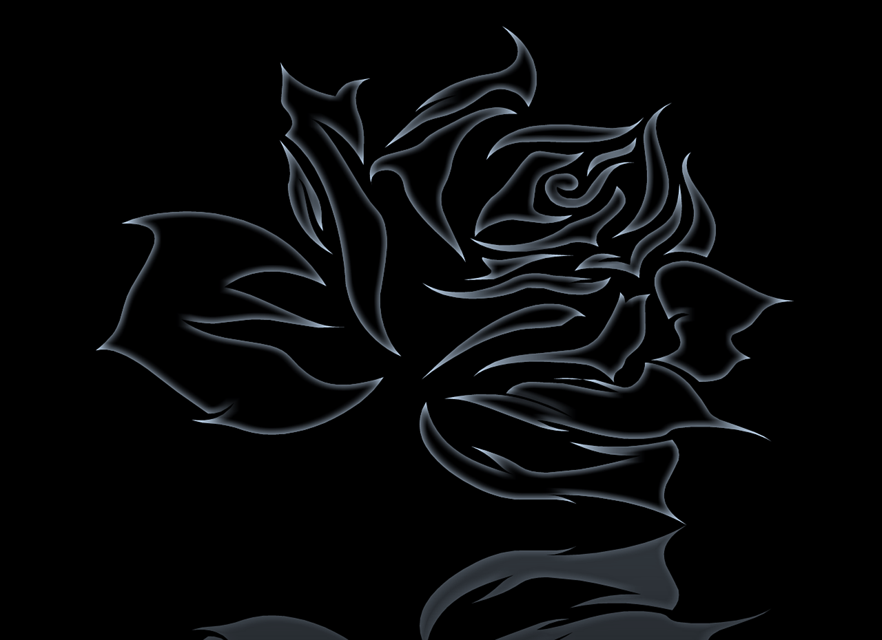 abstract rose black free photo