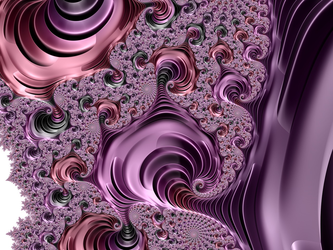 abstract art fractal art fractal free photo