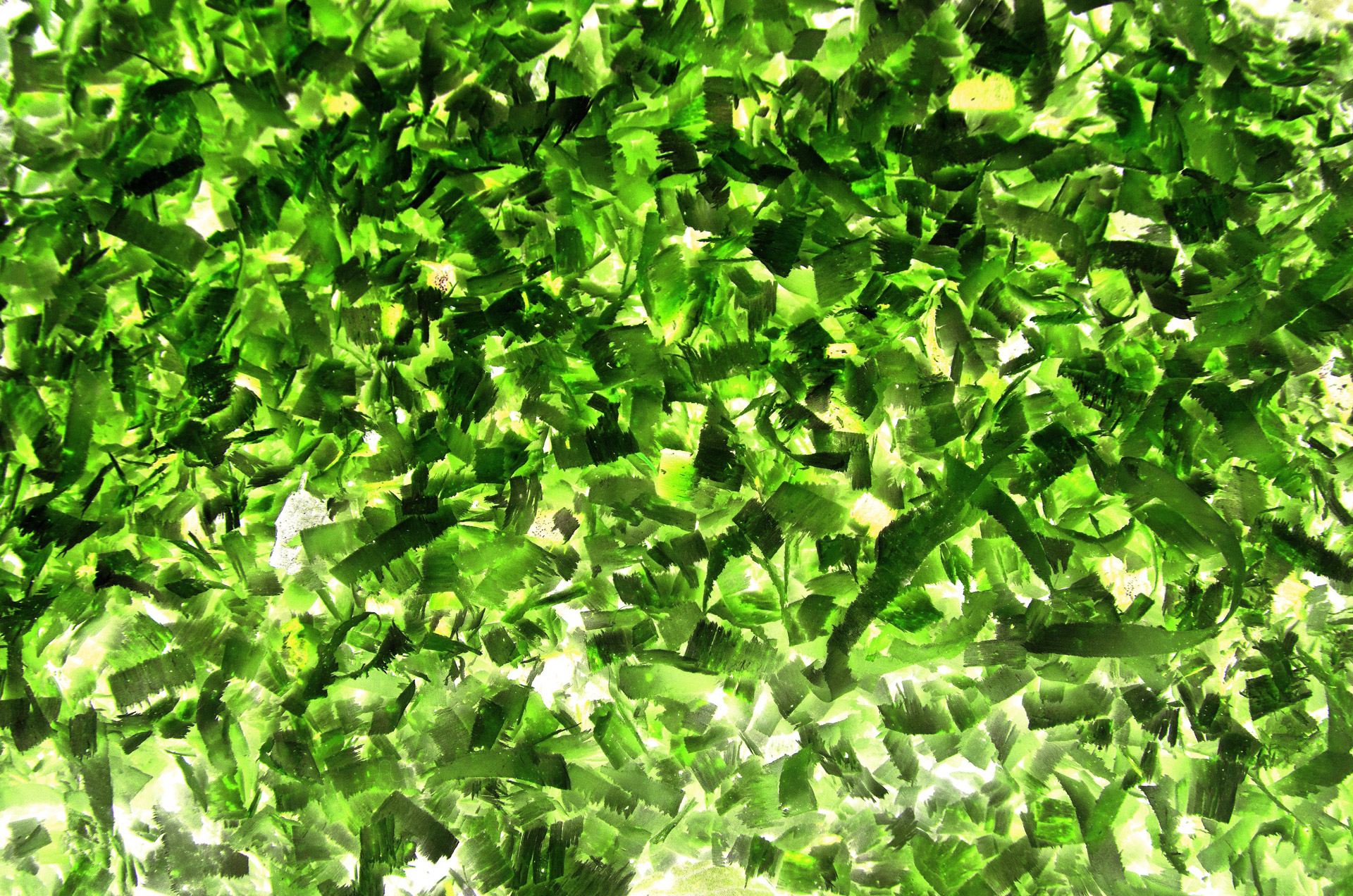 abstract background green free photo