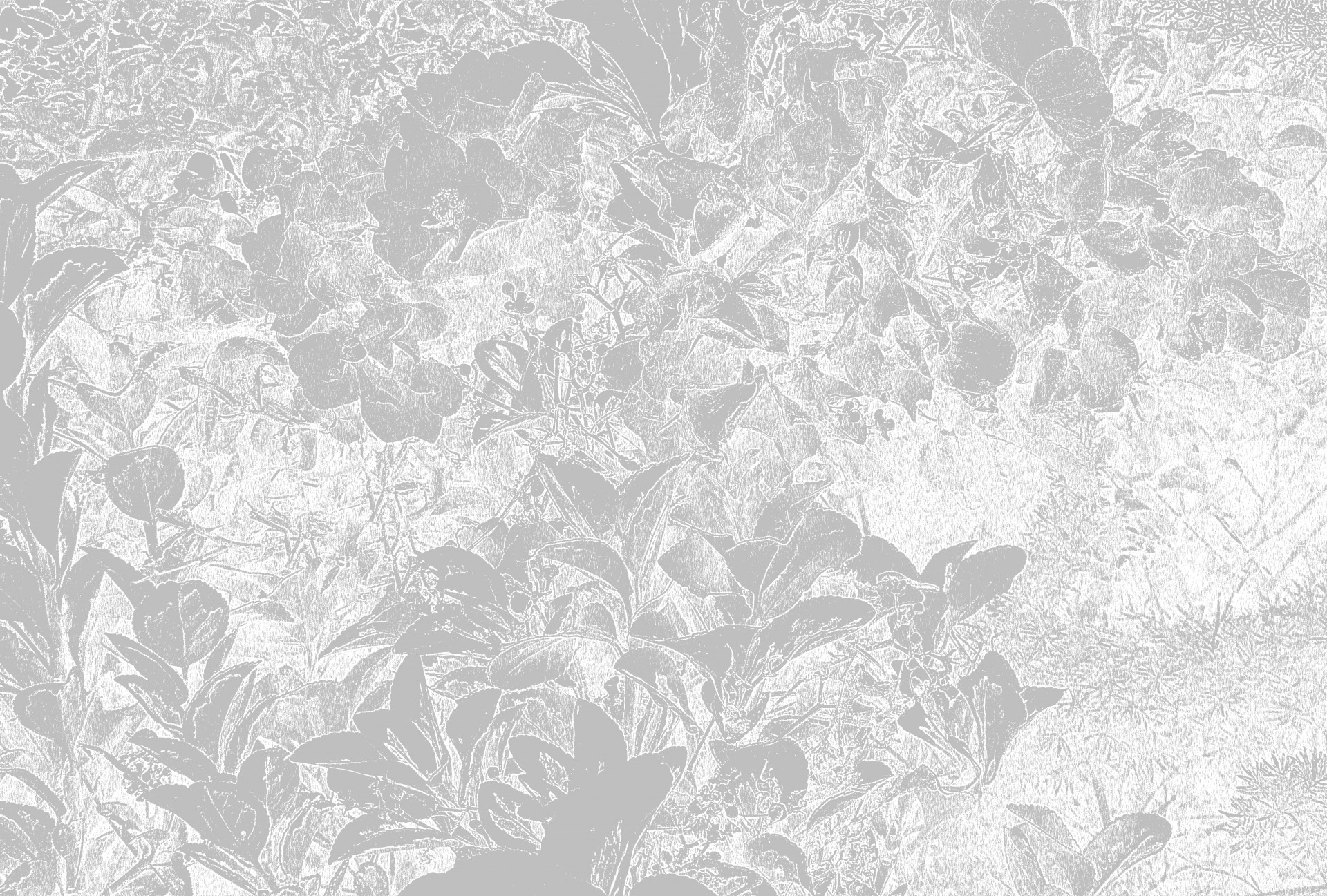 abstract floral background free photo