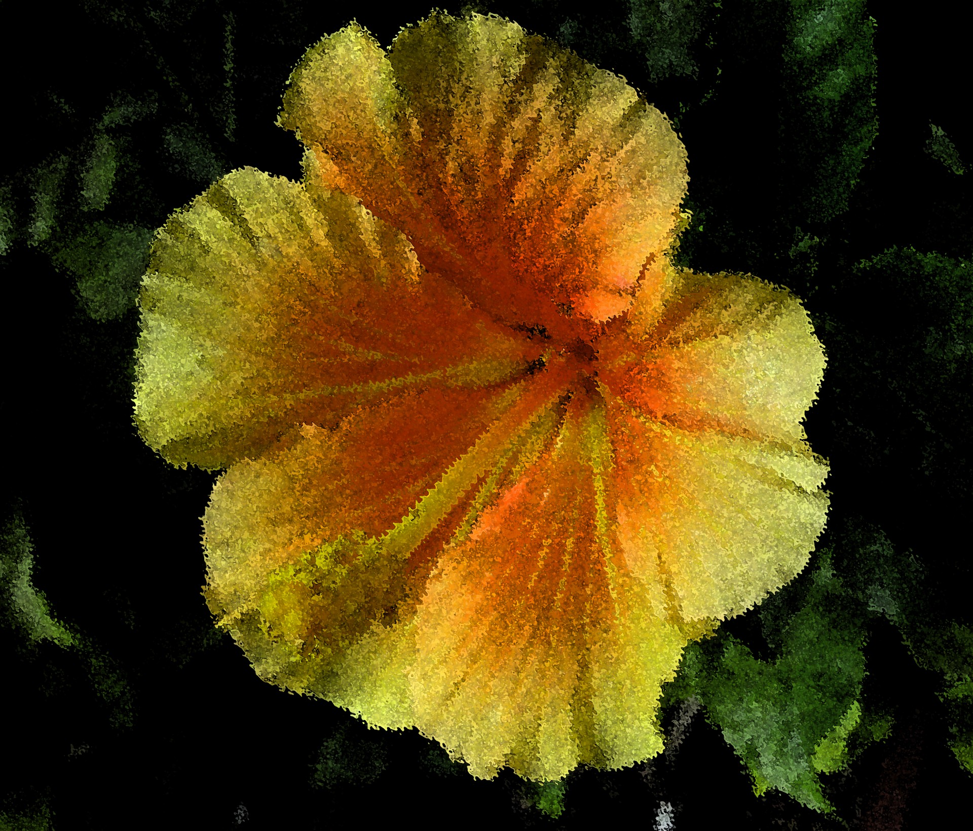 hibiscus yellow orange free photo