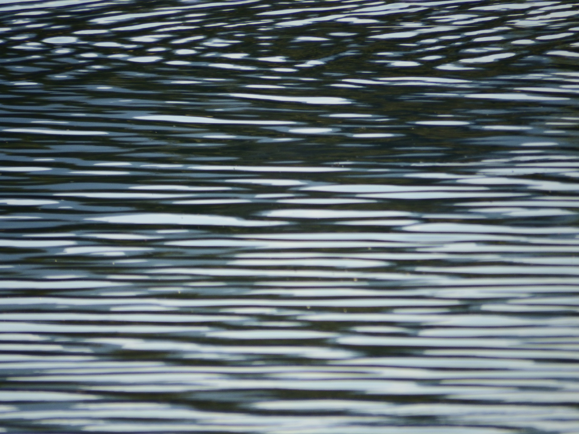 abstract ripples water free photo