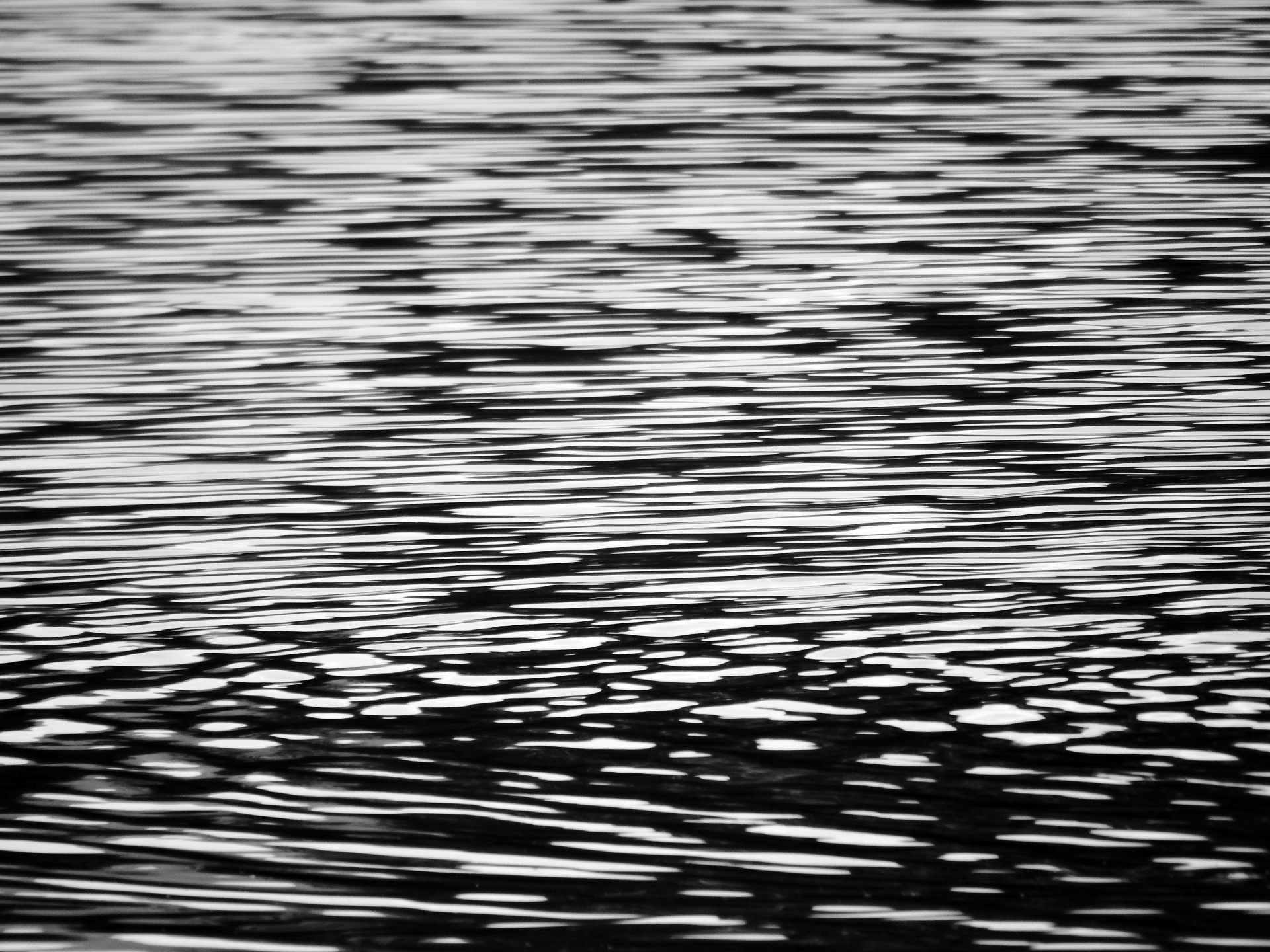ripples water texture free photo
