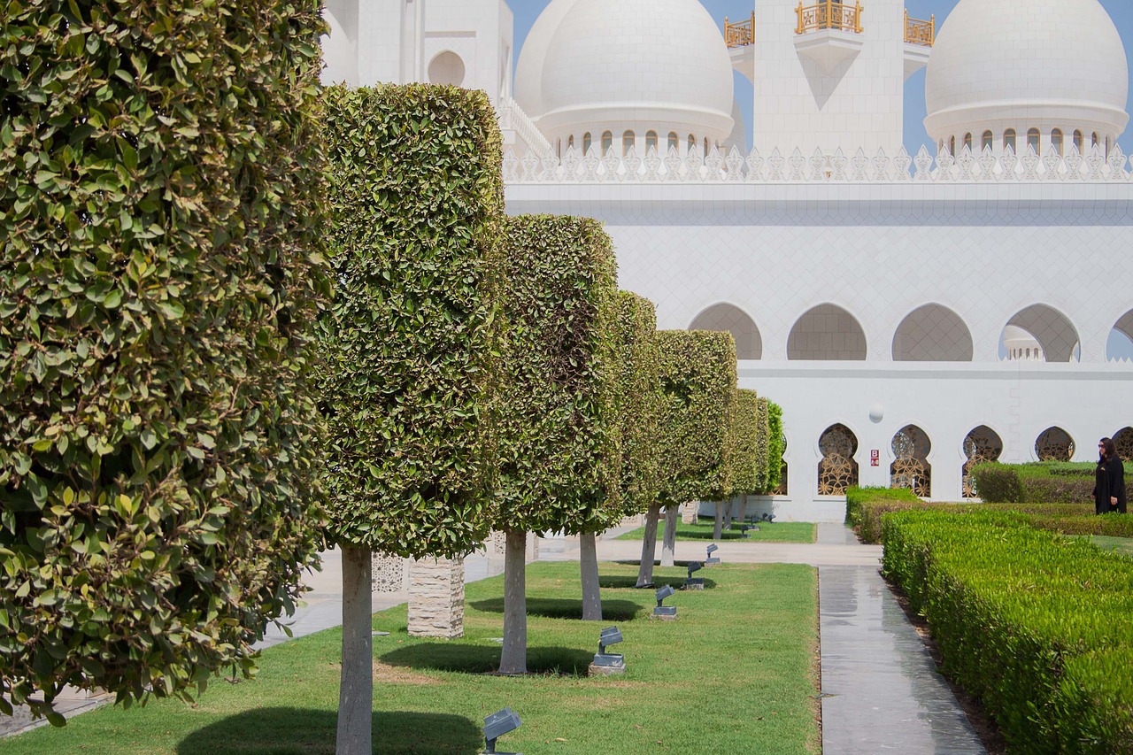 abu dhabi mosque architecture free photo