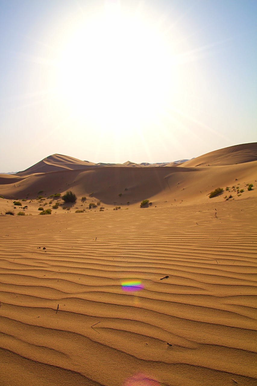 abu dhabi  emirates  desert free photo