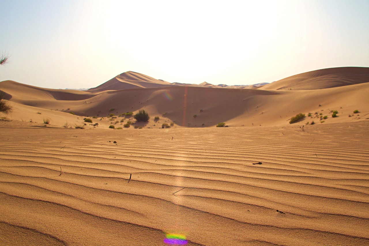 abu dhabi  emirates  desert free photo