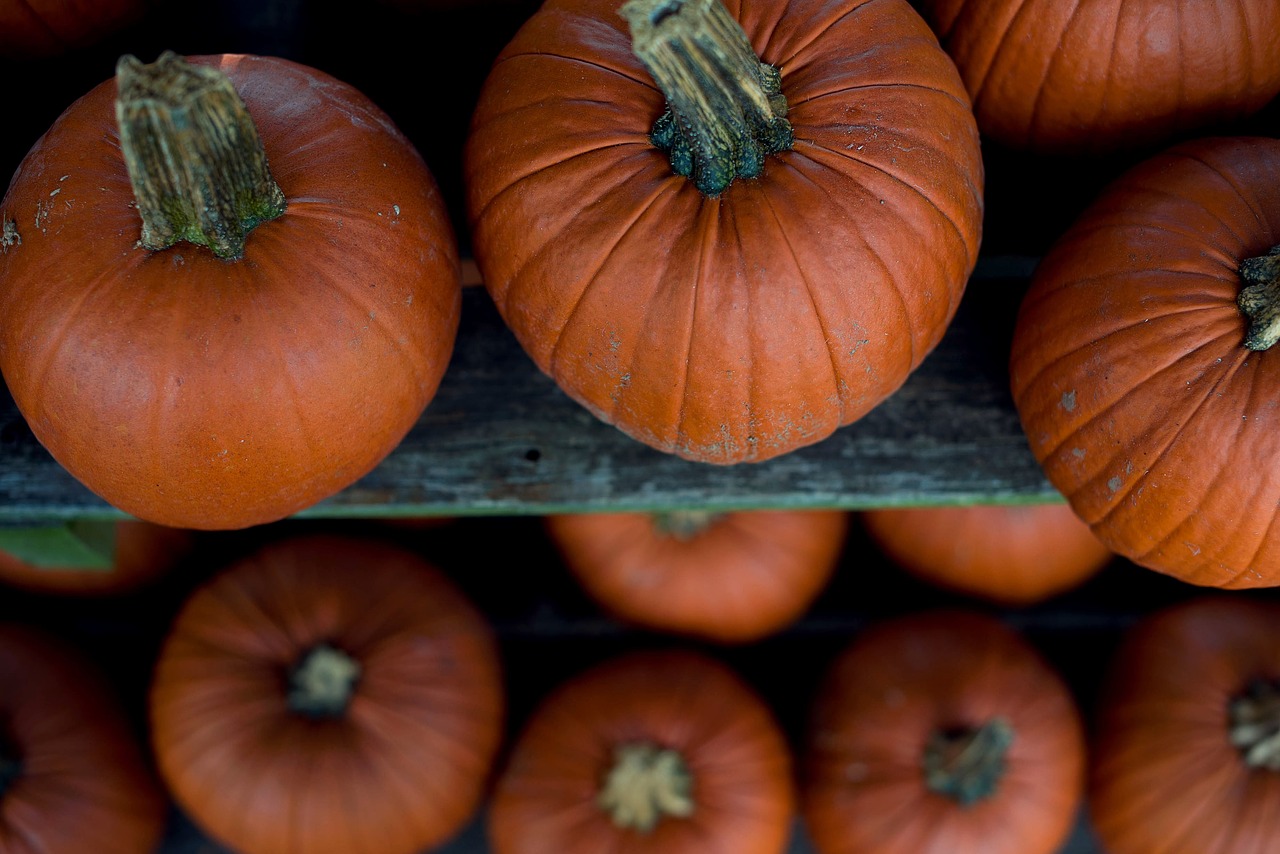 abundance agriculture close-up free photo