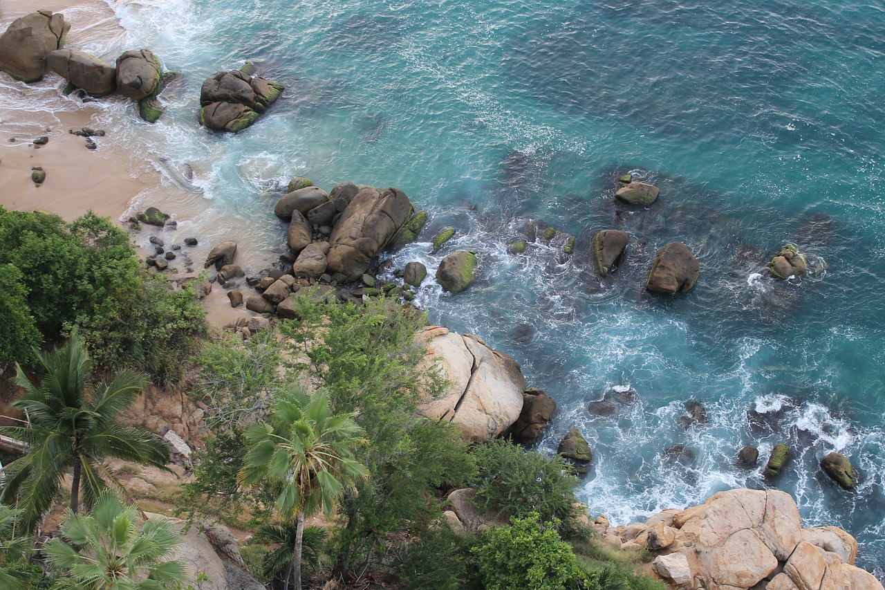 acapulco  beach  mexico free photo