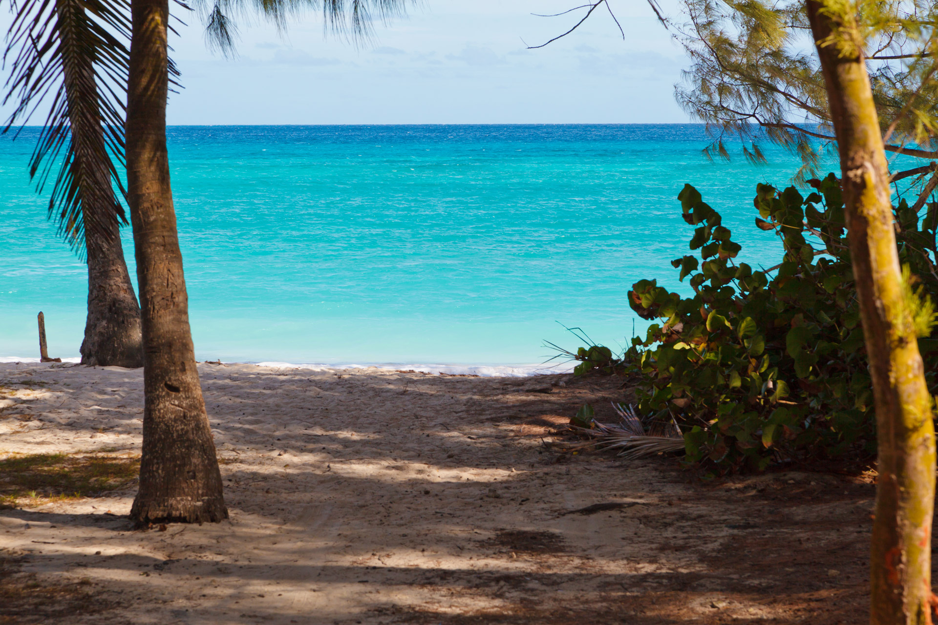 beach blue coast free photo