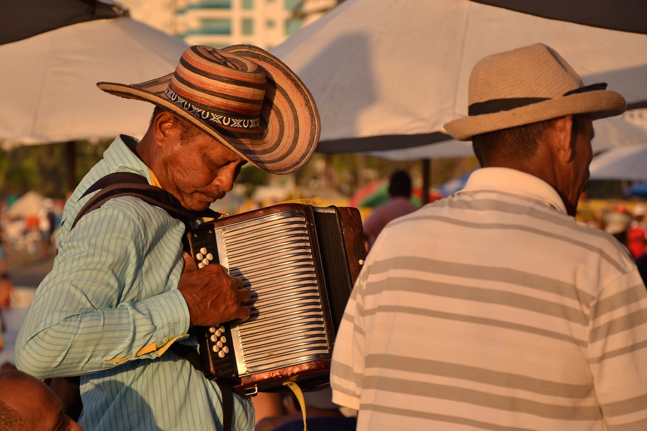 accordion touch vallenato free photo