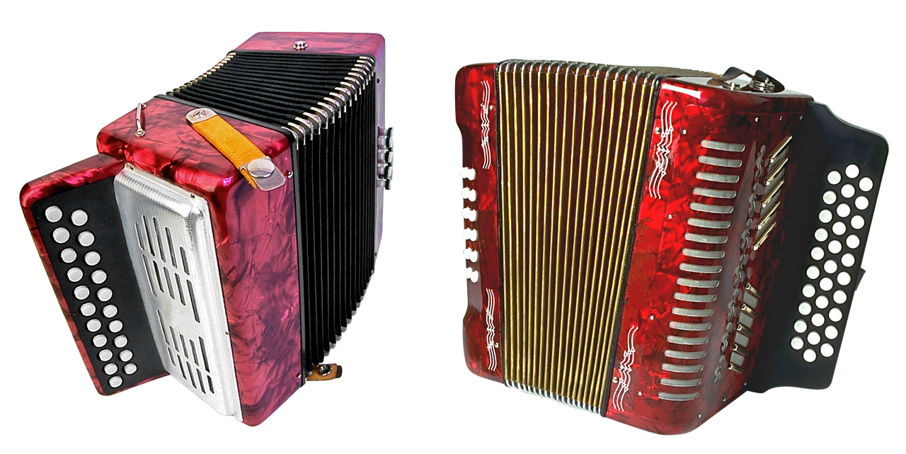 accordion fur music free photo