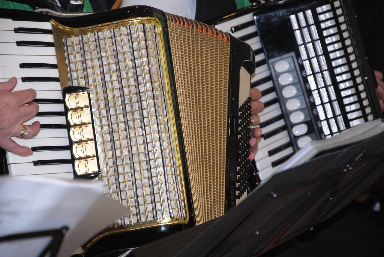 accordion harmonica music free photo