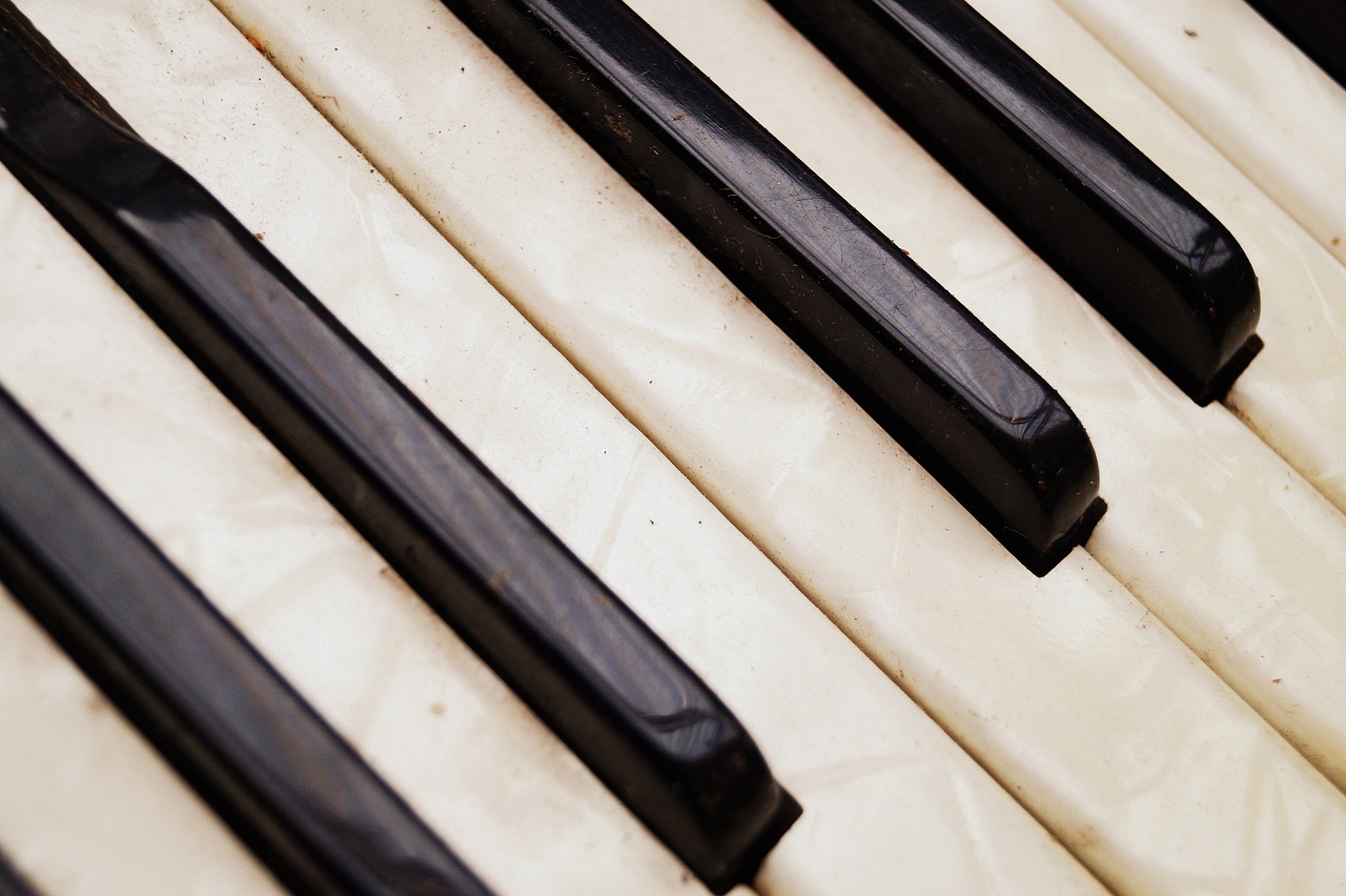 accordion keys music free photo