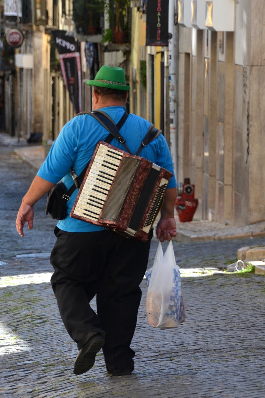 accordion musician music free photo
