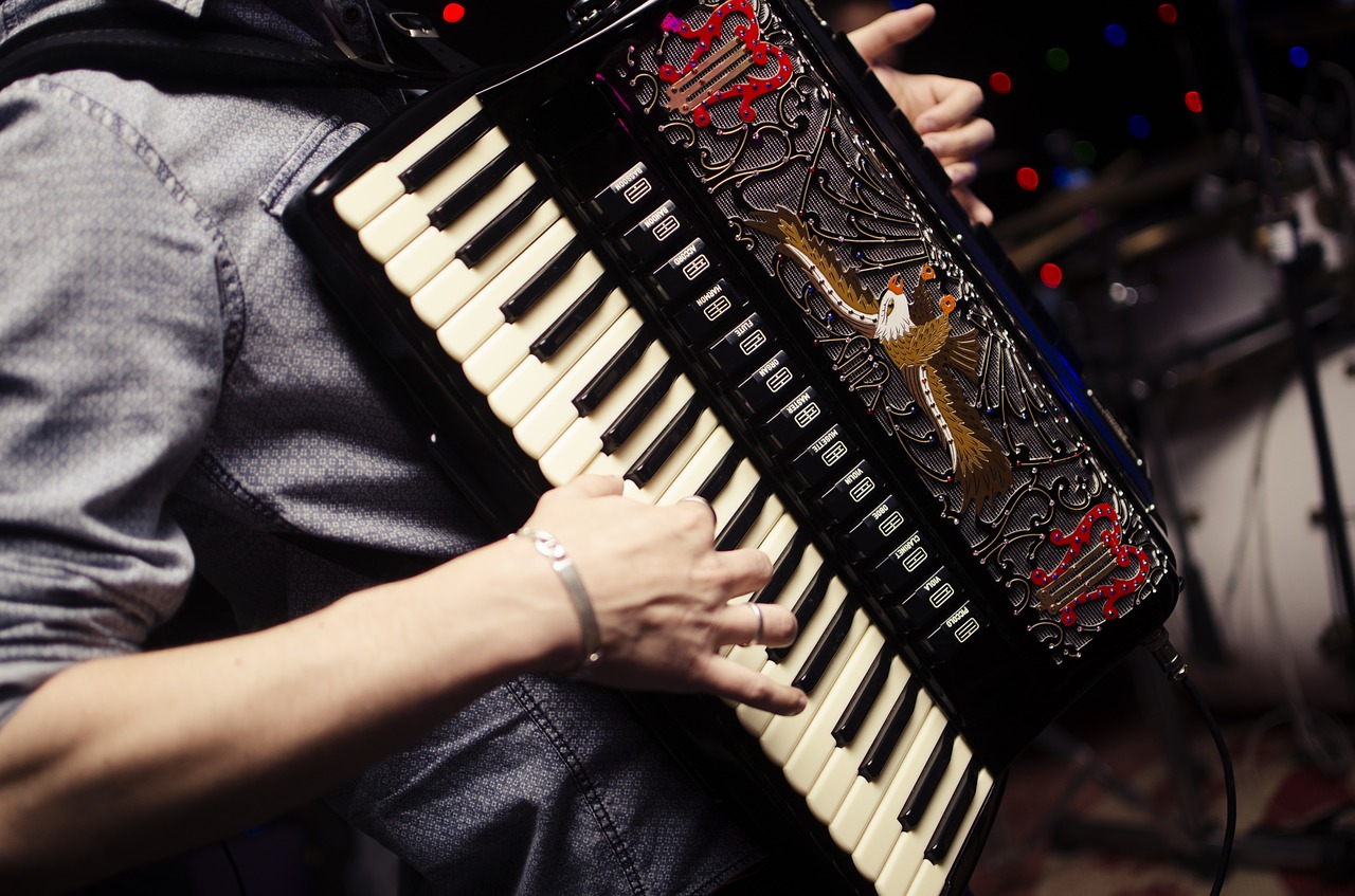 accordion harmonica acordeon free photo