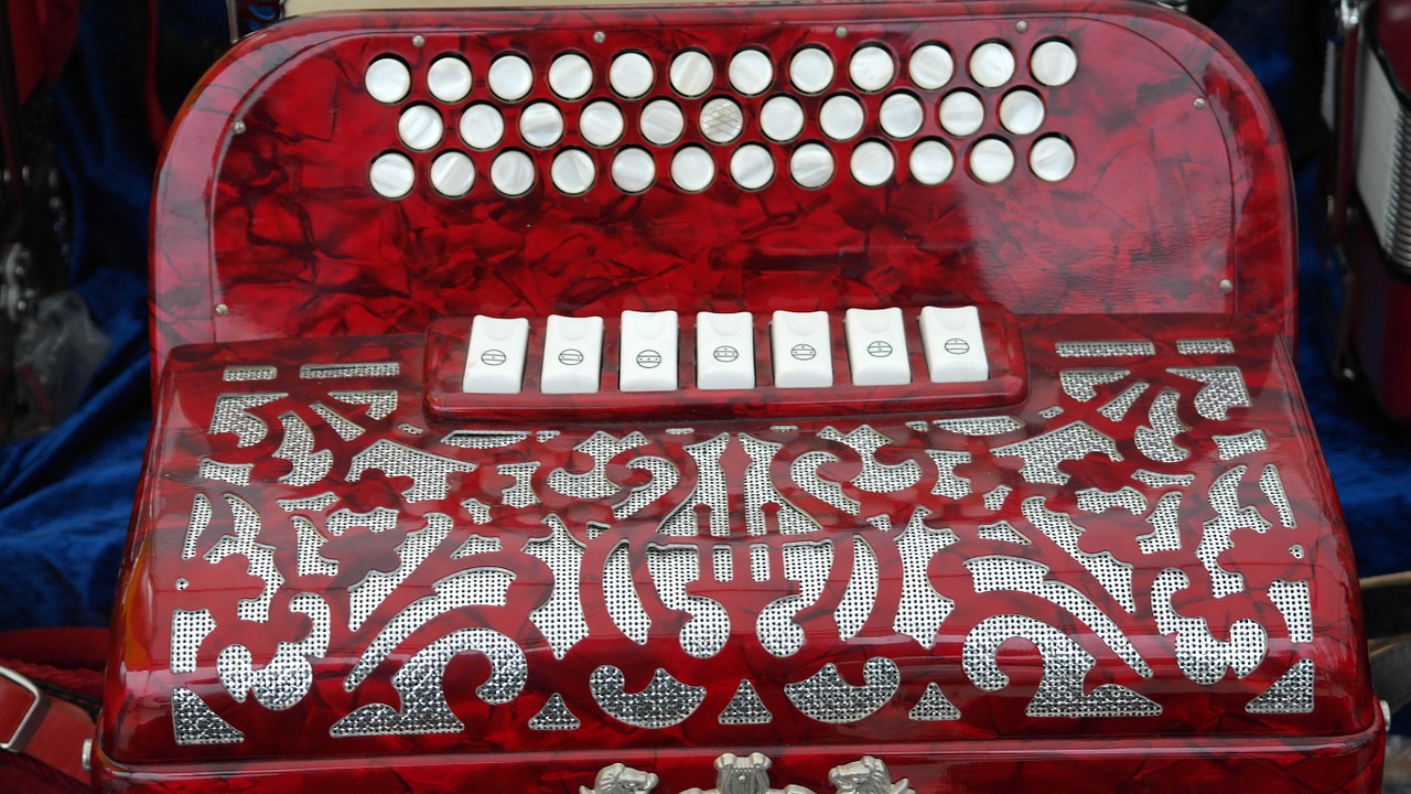 accordion music melody free photo