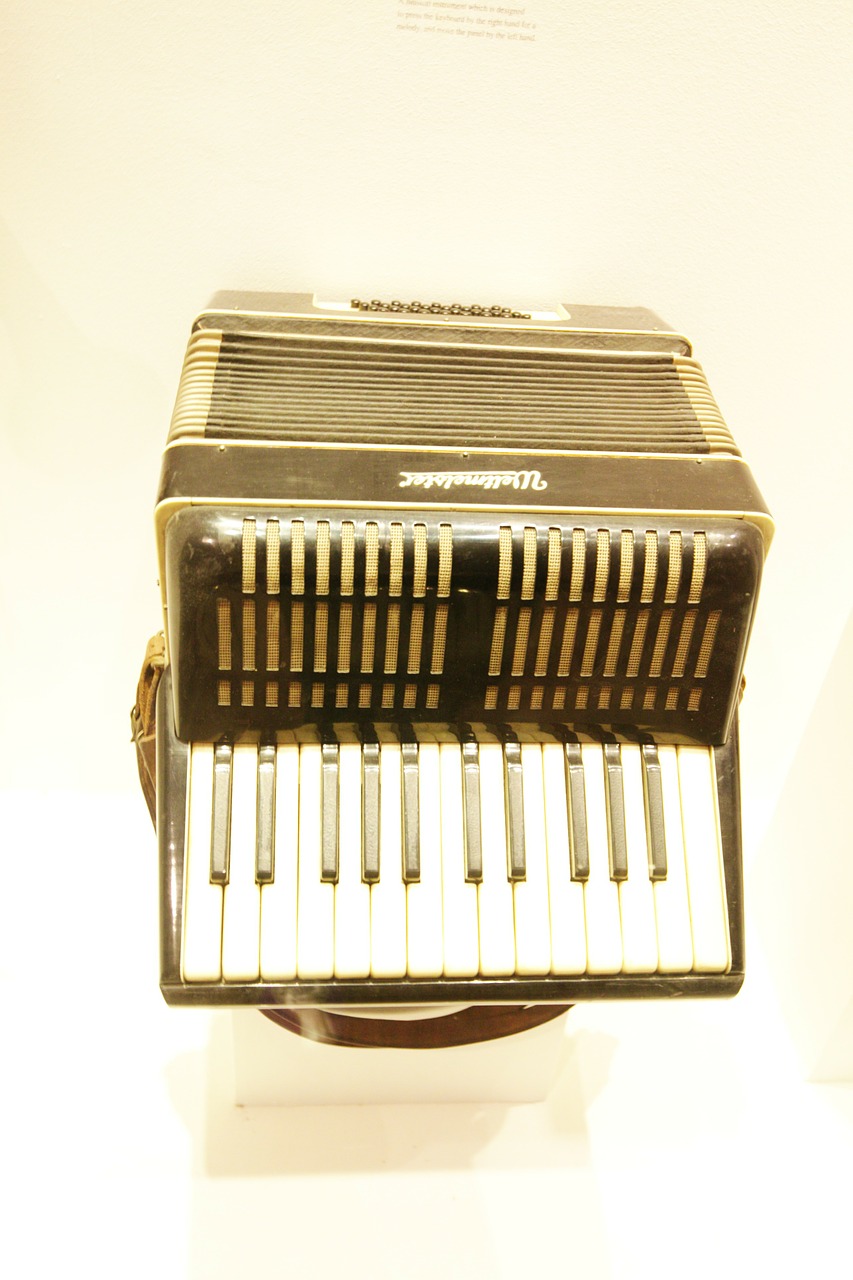 accordion instrument antique free photo