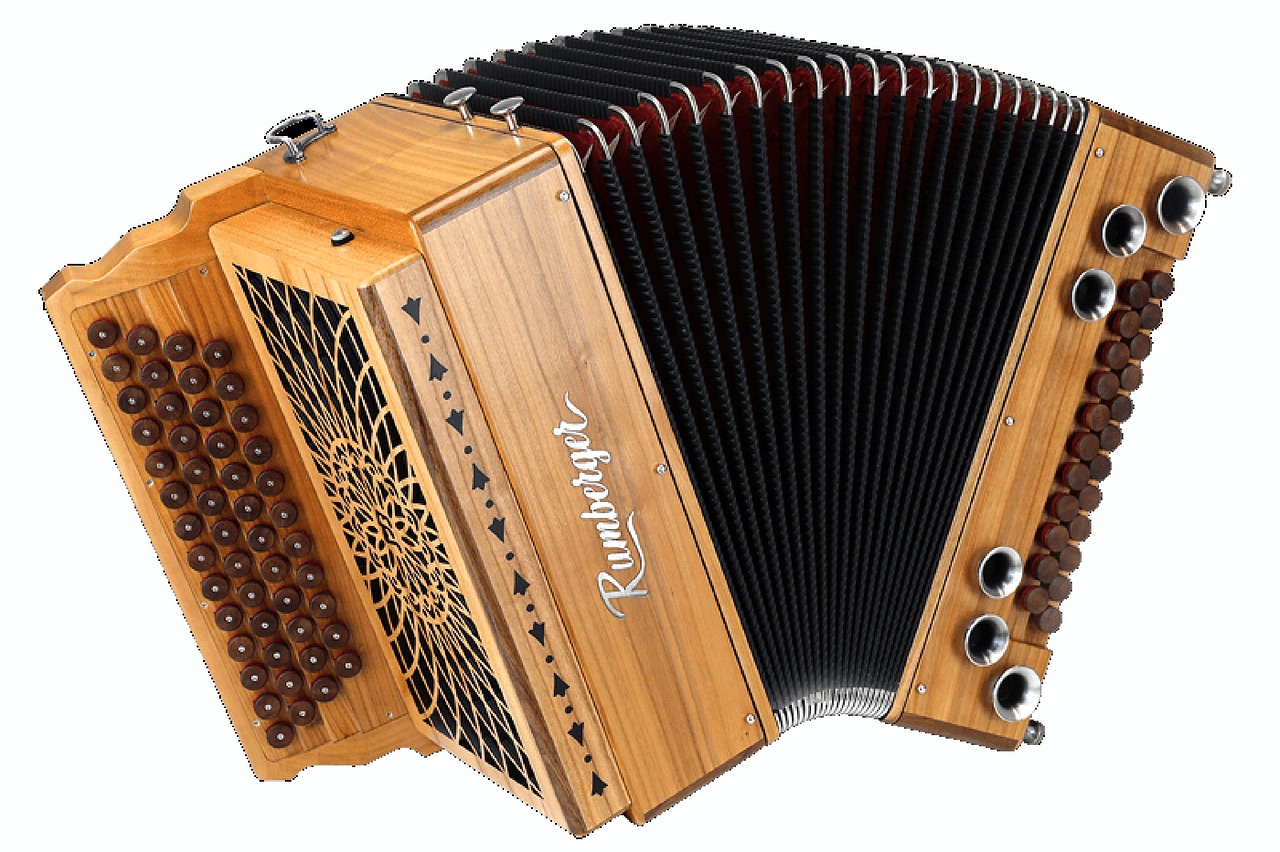 accordion  musical instrument  music free photo