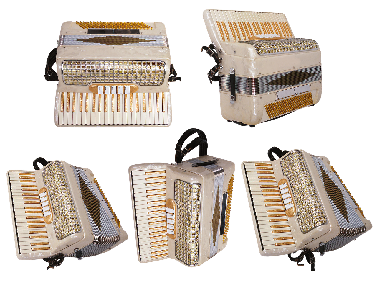 accordion  fur  music free photo