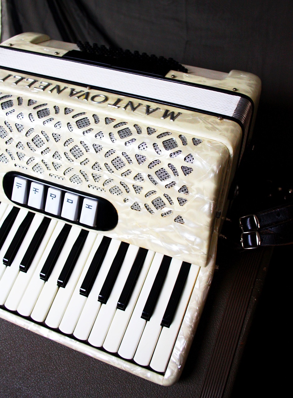 accordion squish music free photo