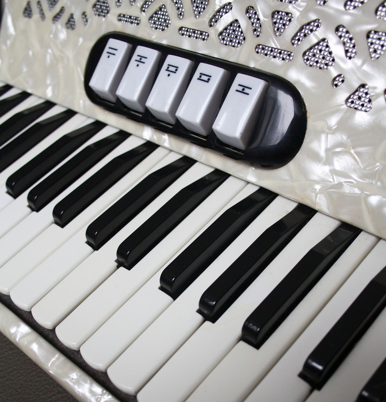 accordion squish music free photo
