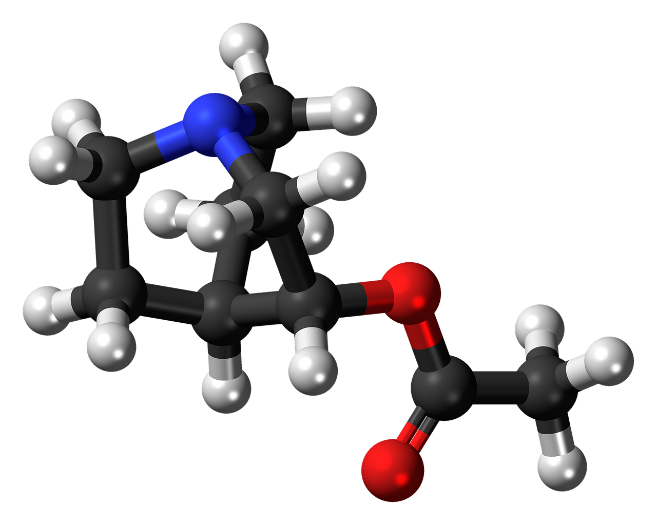 aceclidine molecule structure free photo