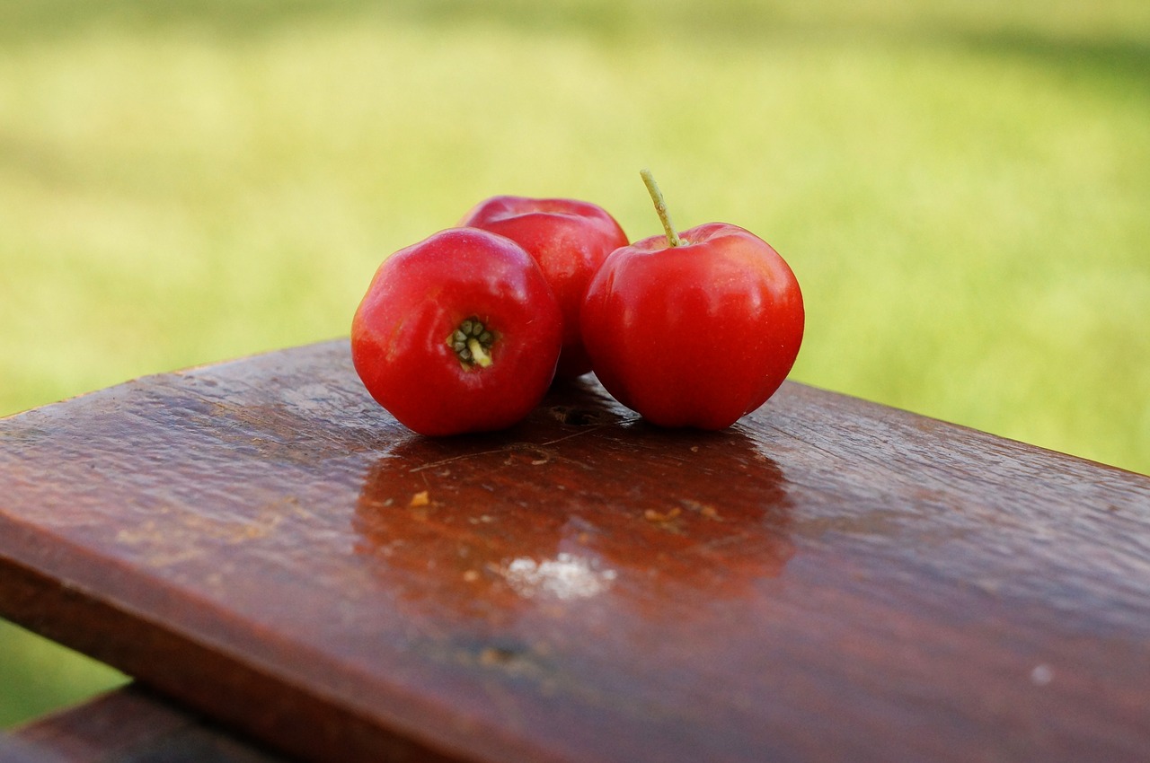 acerola fruit vitamin free photo