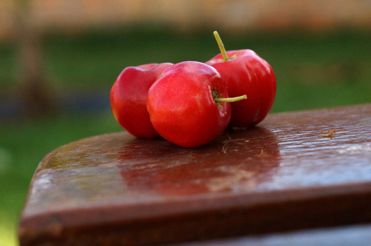 acerola fruit vitamin free photo