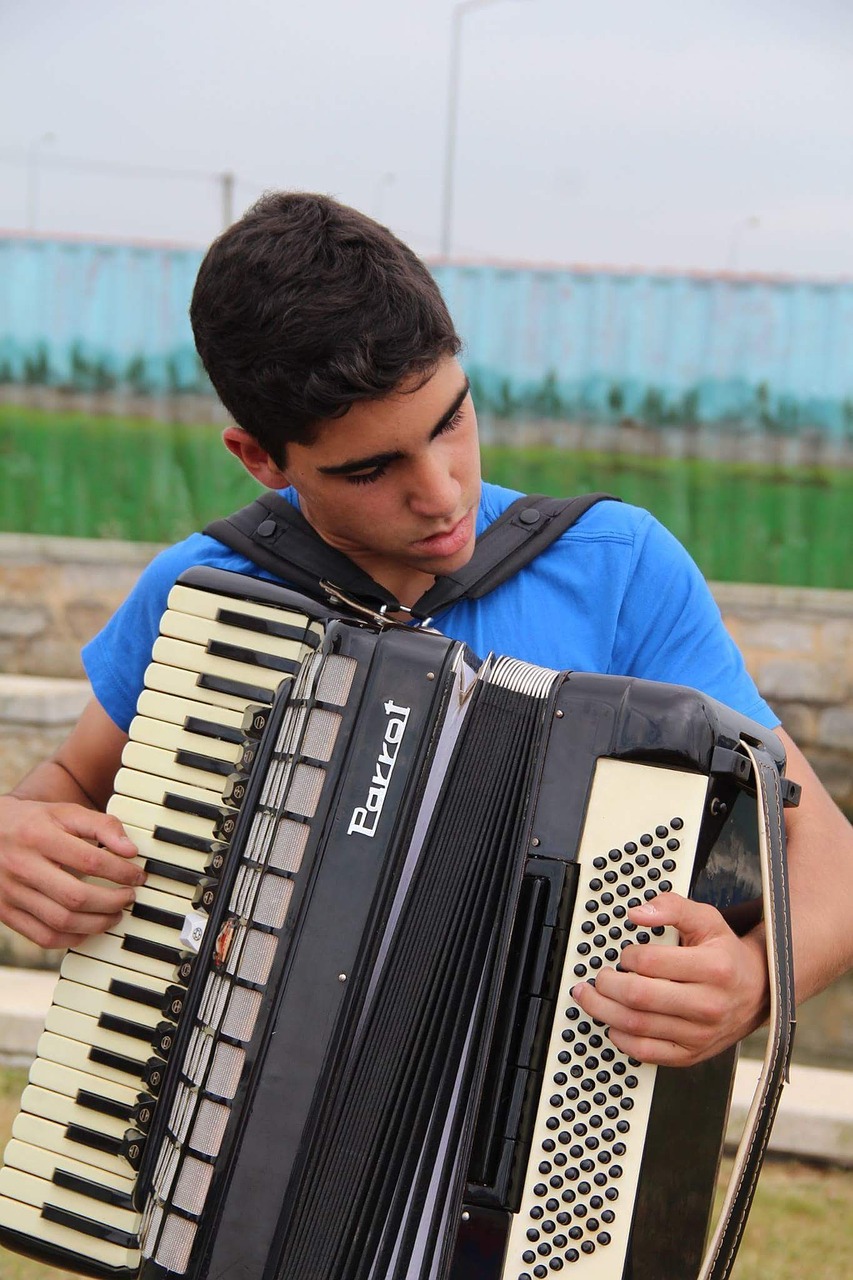 acordeon accordion child free photo