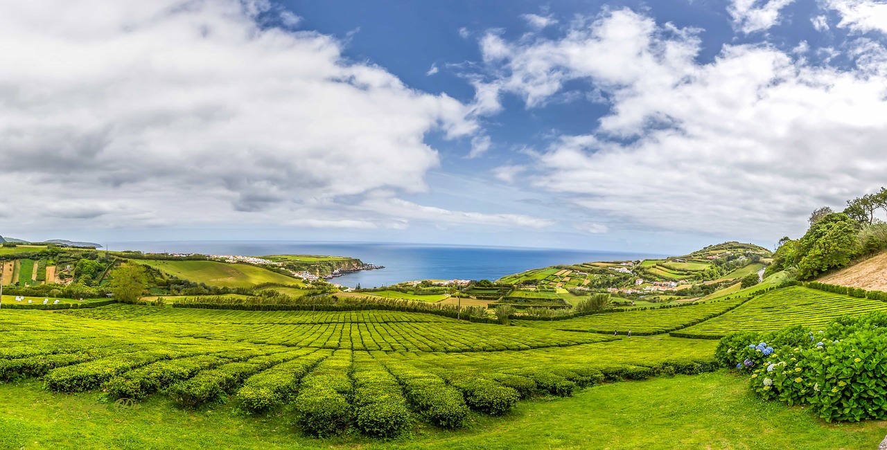 acores  landscape  nature free photo