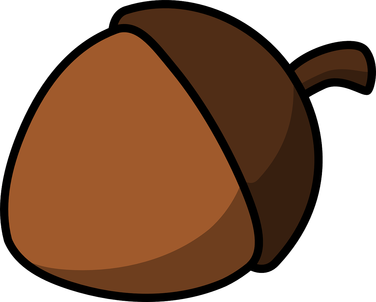 acorn nut seed free photo
