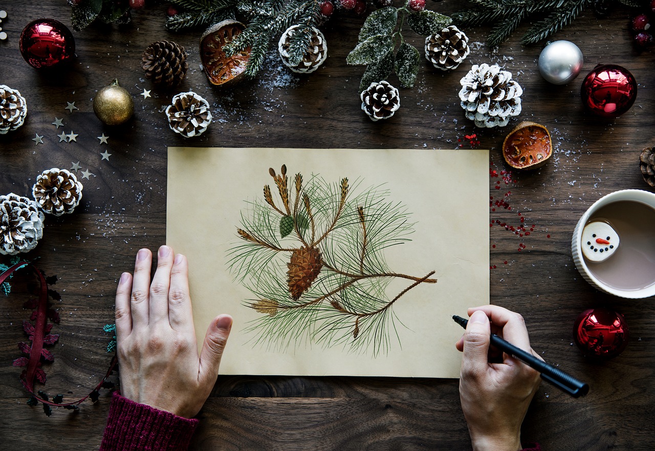 acorn  aerial  background free photo