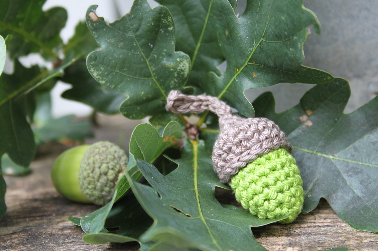 acorn hooks crochet diy free photo