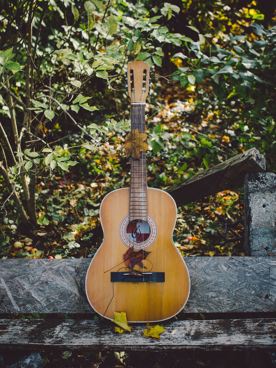 acoustic guitar music free photo
